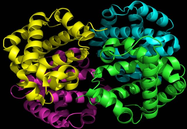 Για πρώτη φορά, βιολόγοι σχεδιάζουν πρωτεΐνες κατά παραγγελία