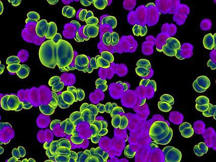 Επιτυχής χορήγησης αντικαρκινικών φαρμάκων μέσω βακτηριακών κυττάρων