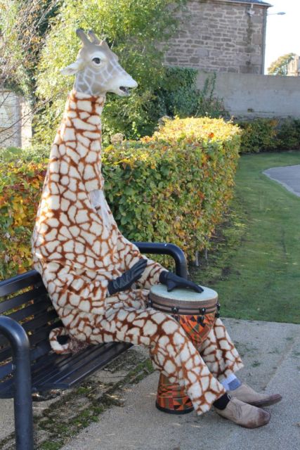 Μια… καμηλοπάρδαλη τριγυρνά στους δρόμους της Σκωτίας και κάνει καλές πράξεις