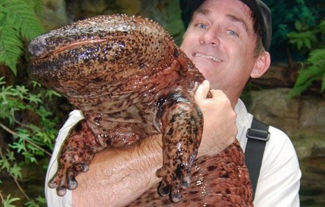 Κακάσχημα αλλά μοναδικά ζώα που απειλούνται με εξαφάνιση