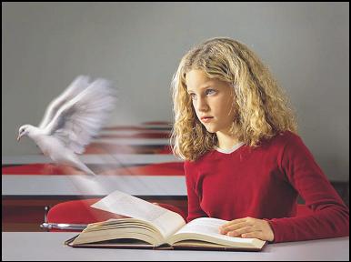 Δικαίωμα και Όροι Συμμετοχής