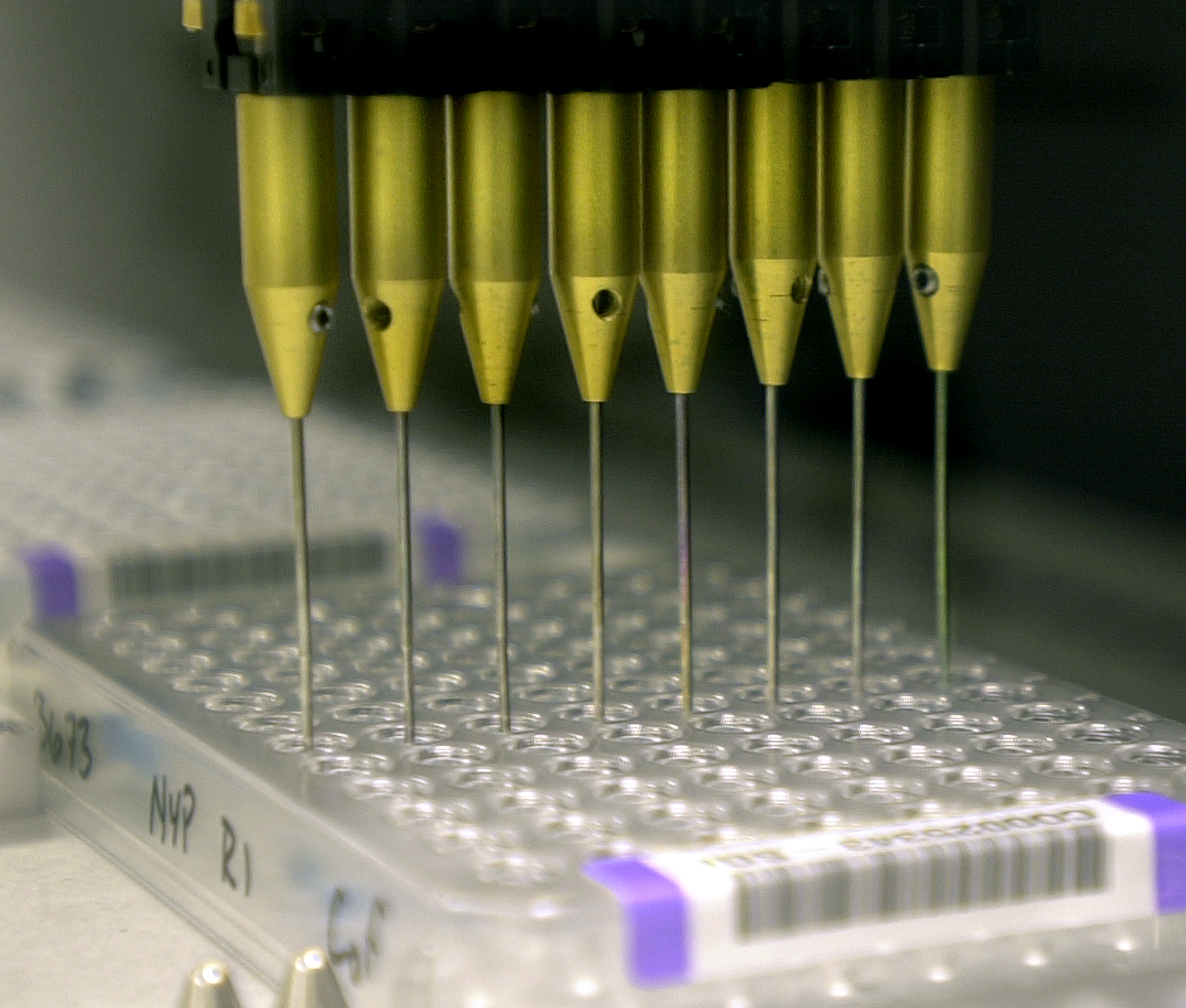 Ανοιχτή εκδήλωση για την «Γενετική στην Υπηρεσία της Υγείας»