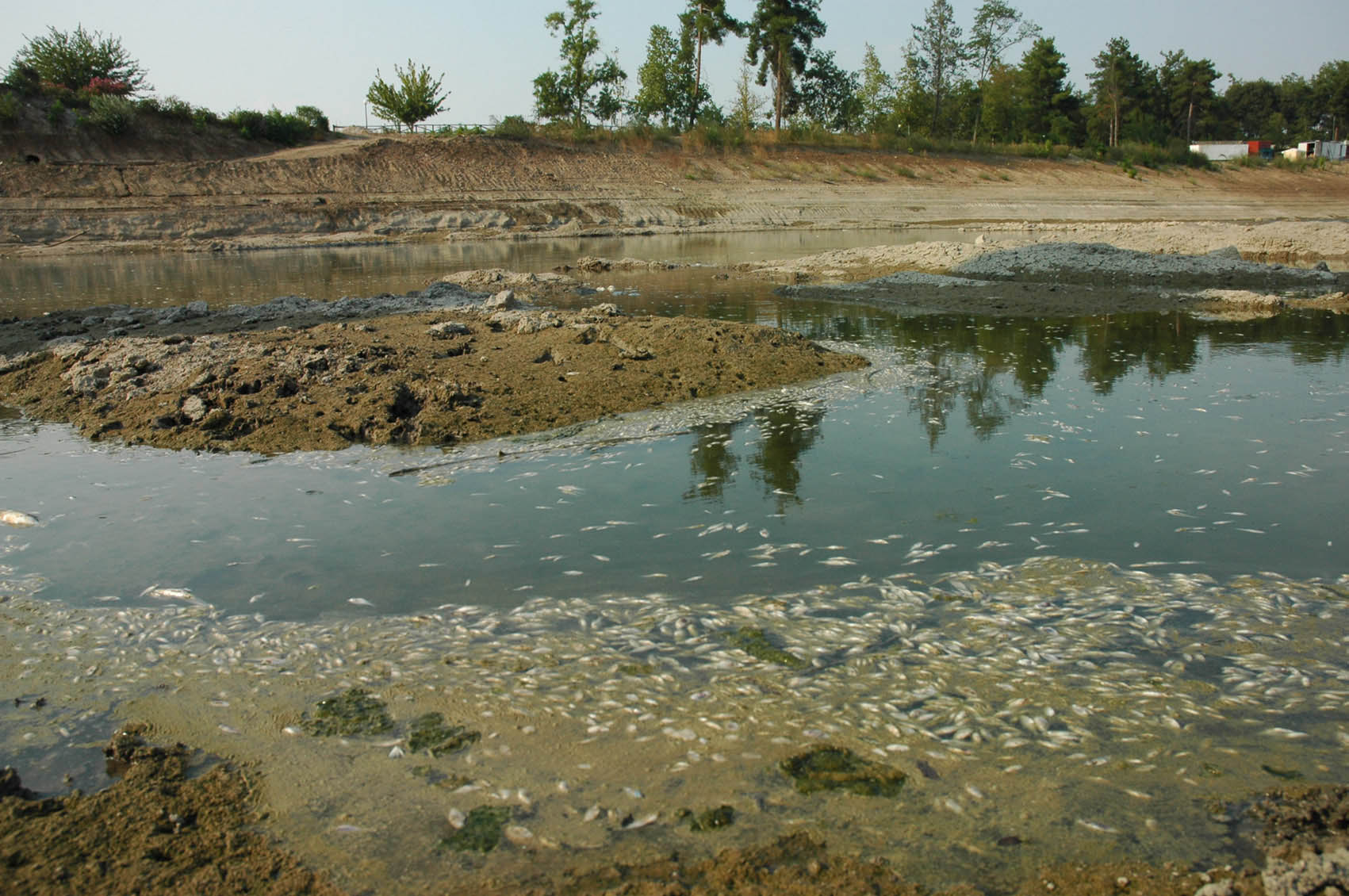 10 περιβαλλοντικές οργανώσεις: H κρίση χτυπάει αλύπητα το περιβάλλον