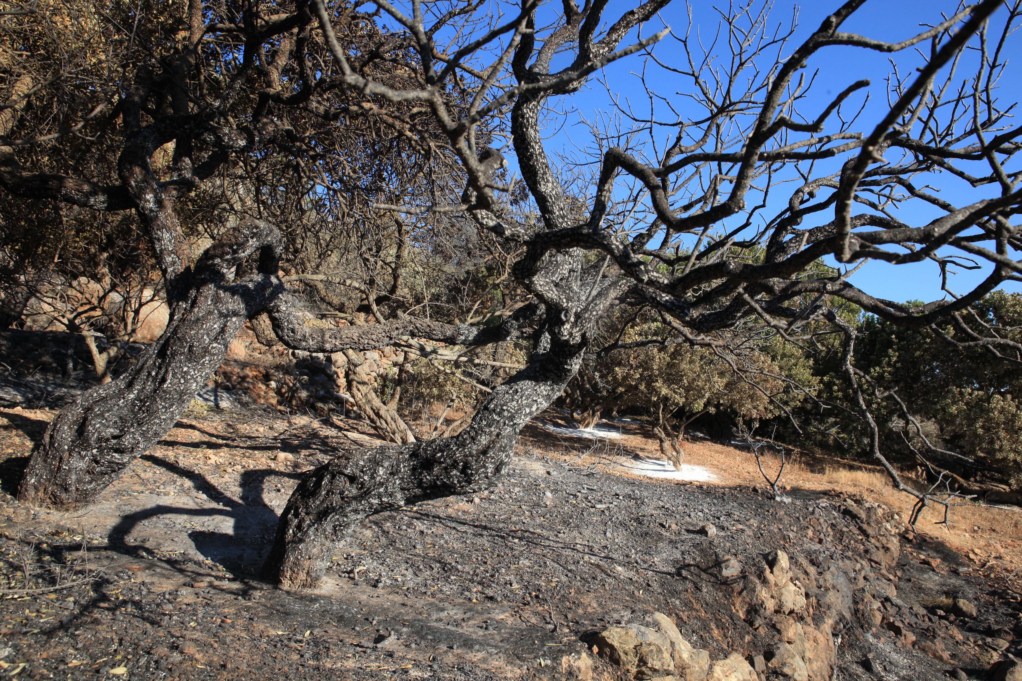 «Χάθηκε» ενίσχυση από Ευρωπαϊκό Ταμείο Αλληλεγγύης για τις καταστροφές στη Χίο