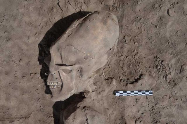 Σκελετοί παιδιών με «εξωγήινα» κρανία βρέθηκαν στο Μεξικό
