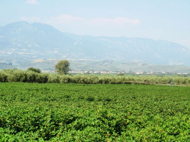 Στα αγροτεμάχια επεκτείνεται το σύστημα αντικειμενικών αξιών το 2013