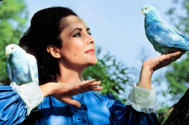 Βιολετί: το ακαταμάχητο μπλε της σεζόν