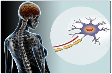 Ημερίδα για την «Αποκατάσταση των Ασθενών με Σκλήρυνση Κατά Πλάκας»