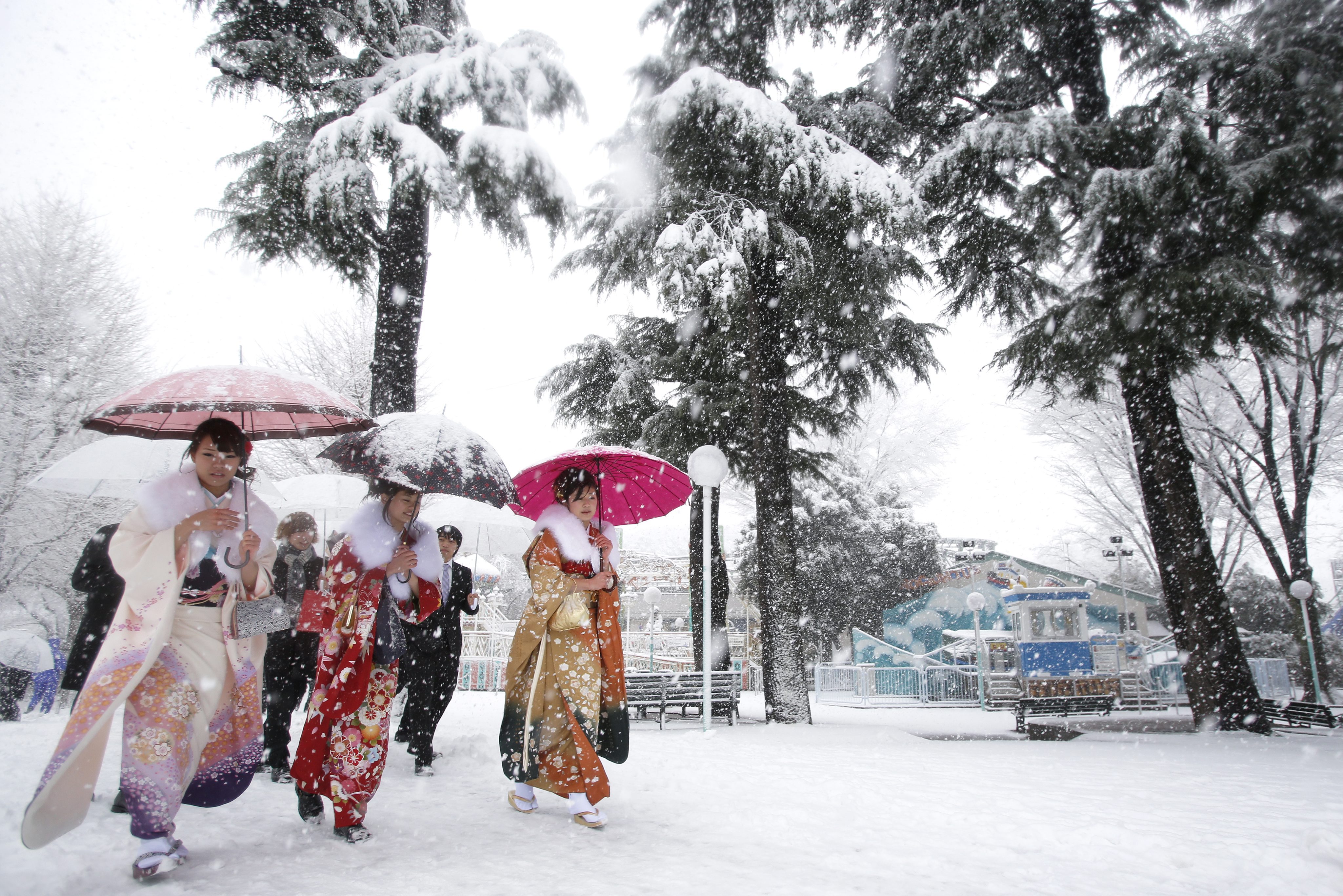 Σφοδρή χιονόπτωση στο Τόκιο, εκατοντάδες πτήσεις ακυρώθηκαν