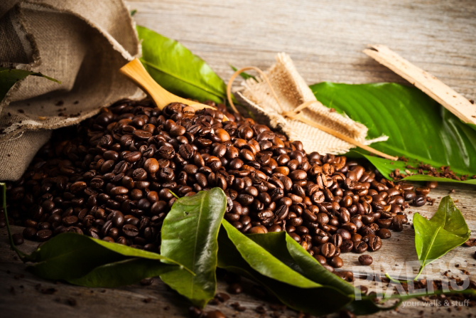 Ρόφημα από φύλλα καφέ, πλούσιο σε αντιοξειδωτικά, δημιούργησαν Βρετανοί ερευνητές