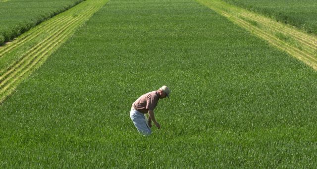Άνοδος των τιμών των βασικών γεωργικών προϊόντων το 2011