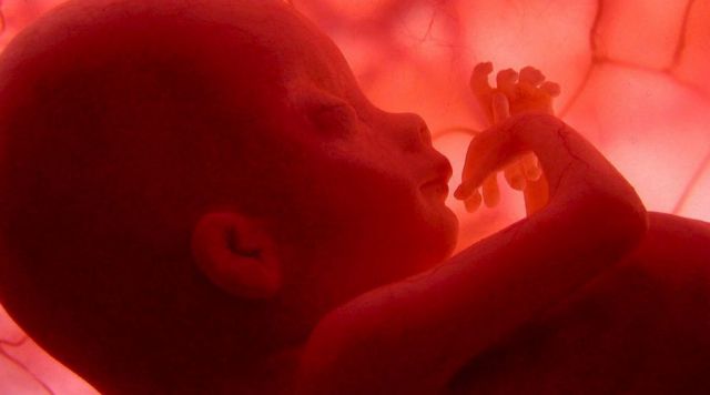 Τα μάτια των εμβρύων «χρειάζονται το φως που περνά στην κοιλιά»