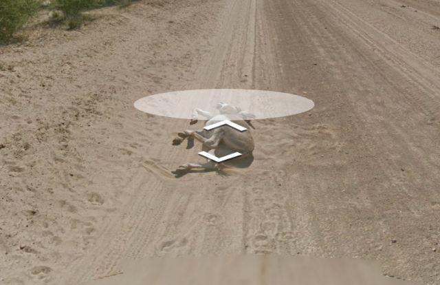 Εξηγήσεις για το… «εγκαταλελειμμένο γαϊδούρι», δίνει η Google