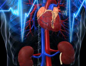 Αλληλένδετη η σχέση καρδιαγγειακών και νεφρικών προβλημάτων