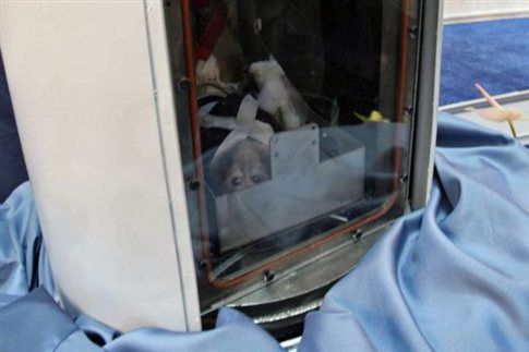 Ζωντανό πίθηκο ισχυρίζεται ότι έστειλε στο Διάστημα το Ιράν