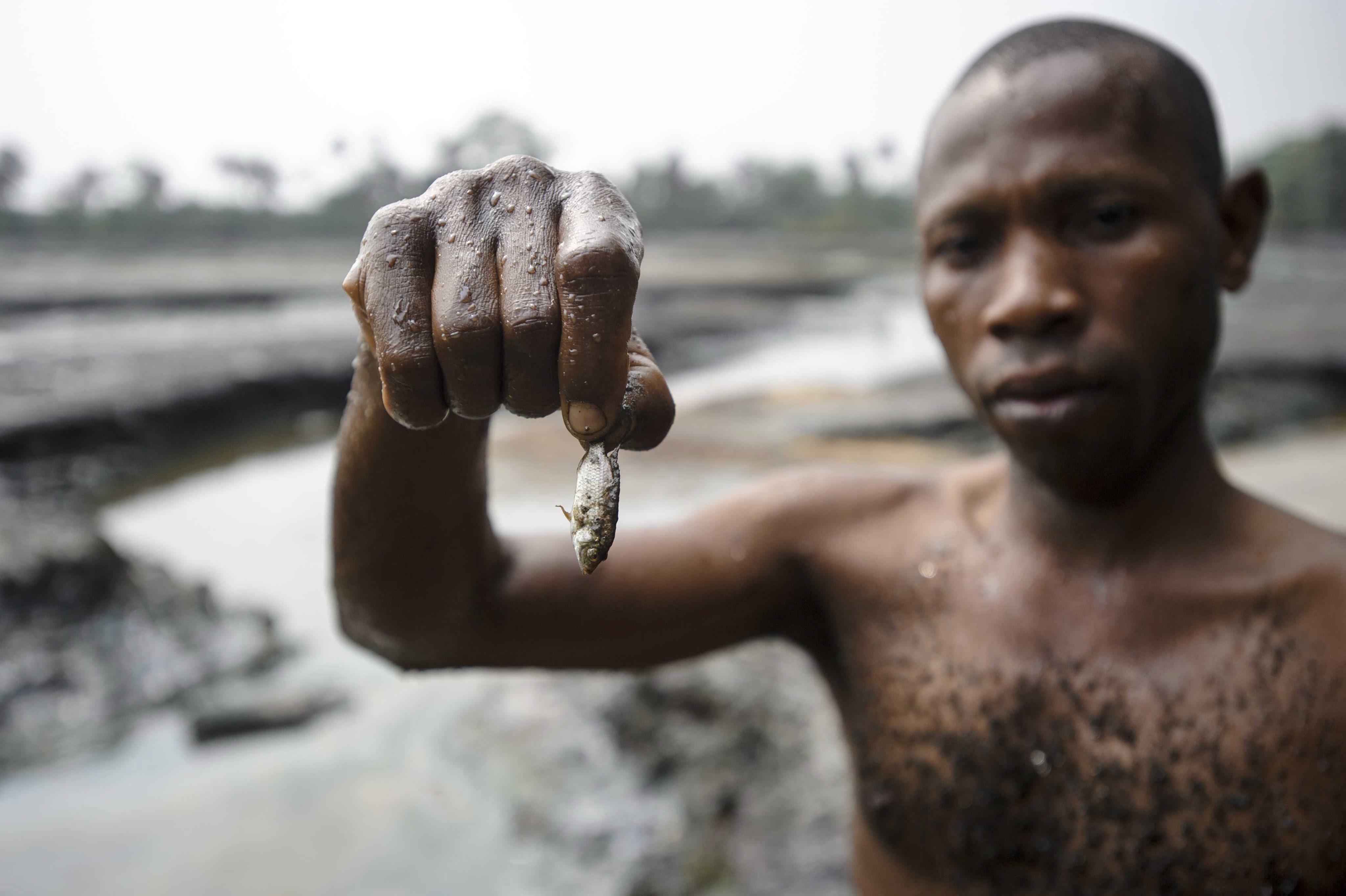 Ολλανδικό δικαστήριο καταδίκασε την Shell για μόλυνση στο Δέλτα του Νίγηρα