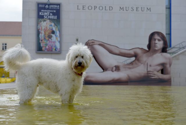 Βραδιά γυμνιστών διοργανώνει Μουσείο στη Βιέννη