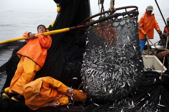 Πρόταση αλλαγών στην Κοινή Αλιευτική Πολιτική για να σωθούν τα ψάρια