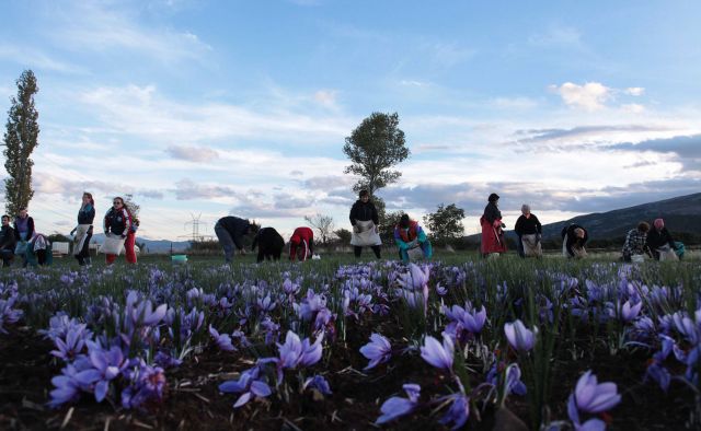Σημαντικές προοπτικές για την αγροτική παραγωγή από τα προϊόντα με «ταυτότητα»