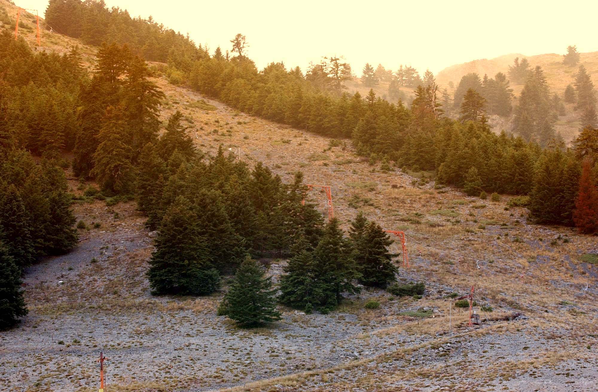 WWF: Χάσαμε 6 εκ. στρέμματα φυσικού χώρου μέσα σε 20 χρόνια