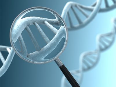 Δίδυμοι με πανομοιότυπο DNA προκαλούν σύγχυση στους εγκληματολόγους