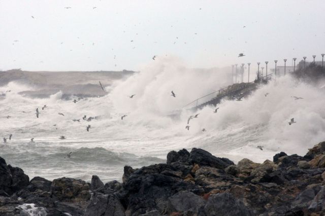 Απαγορευτικό για τα ιπτάμενα δελφίνια στον Αργοσαρωνικό