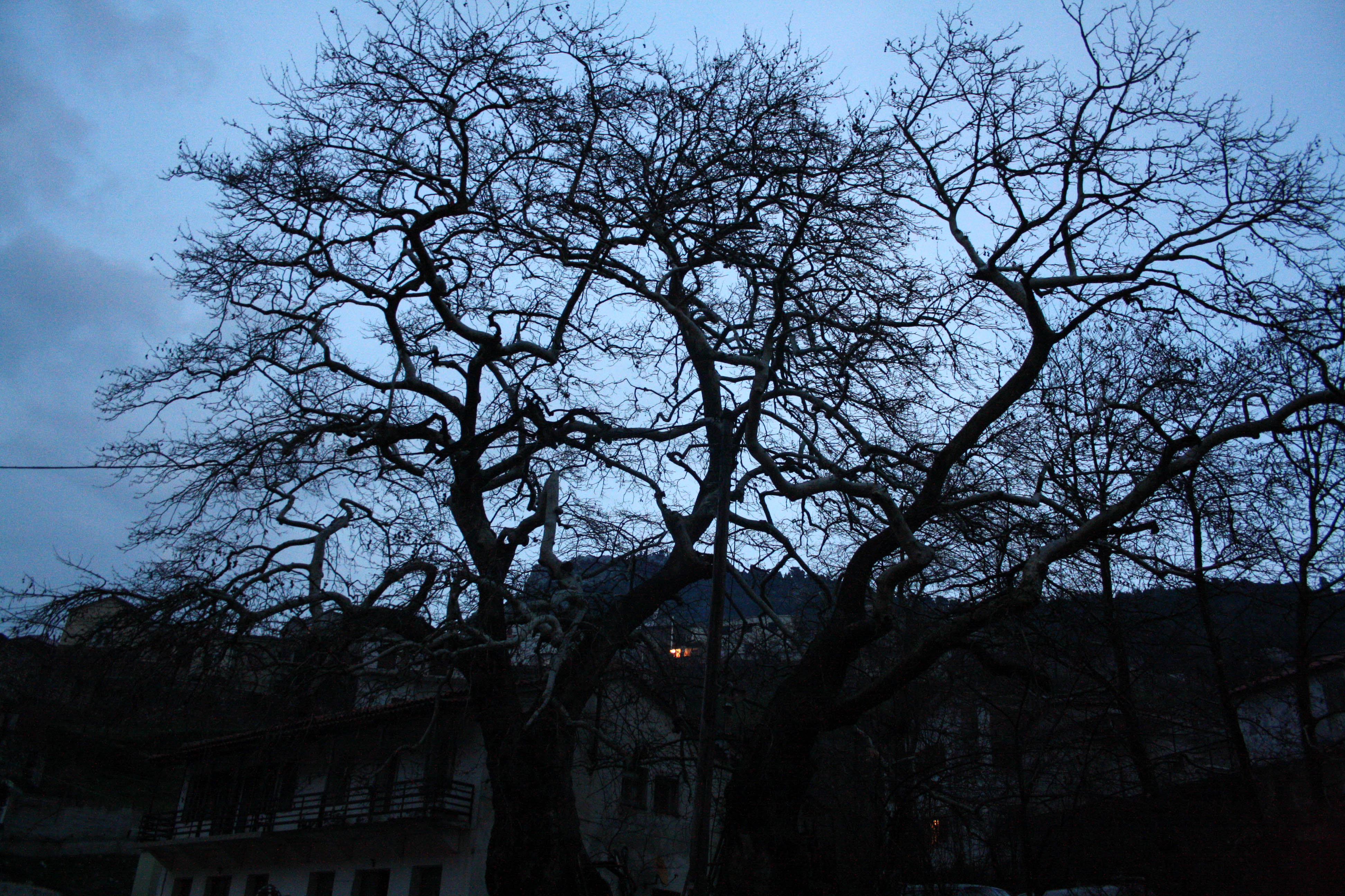 Οι φωτογραφίες της ημέρας (18 Φεβρουαρίου 2013)