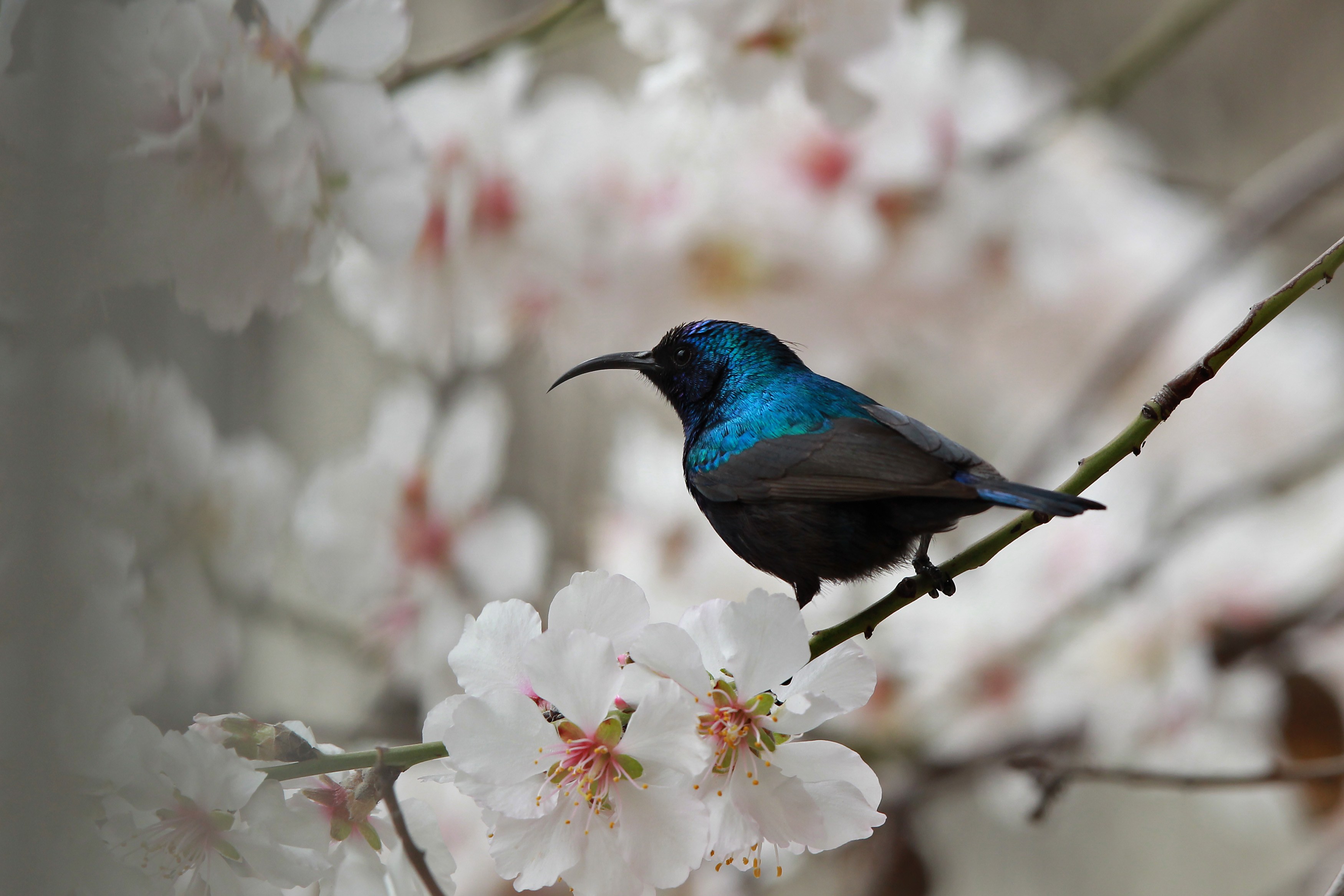Η ημέρα σε φωτογραφίες (23 Φεβρουαρίου 2013)