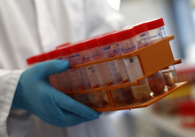 Υποχρεωτική αναγραφή στοιχείων του κρέατος σε προϊόντα ζητά ο Ολάντ