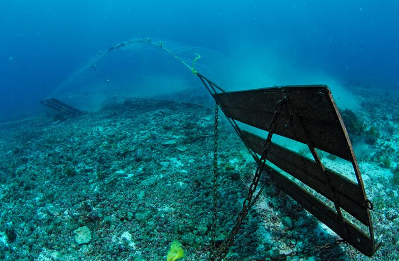 «Έξυπνα δίχτυα» και κάμερες ζητά η Κομισιόν για να σωθούν τα ψάρια