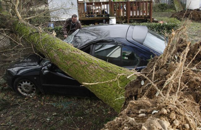 Αποζημίωση υποχρεώθηκε να καταβάλει δήμος για ζημιές από πτώση δέντρου