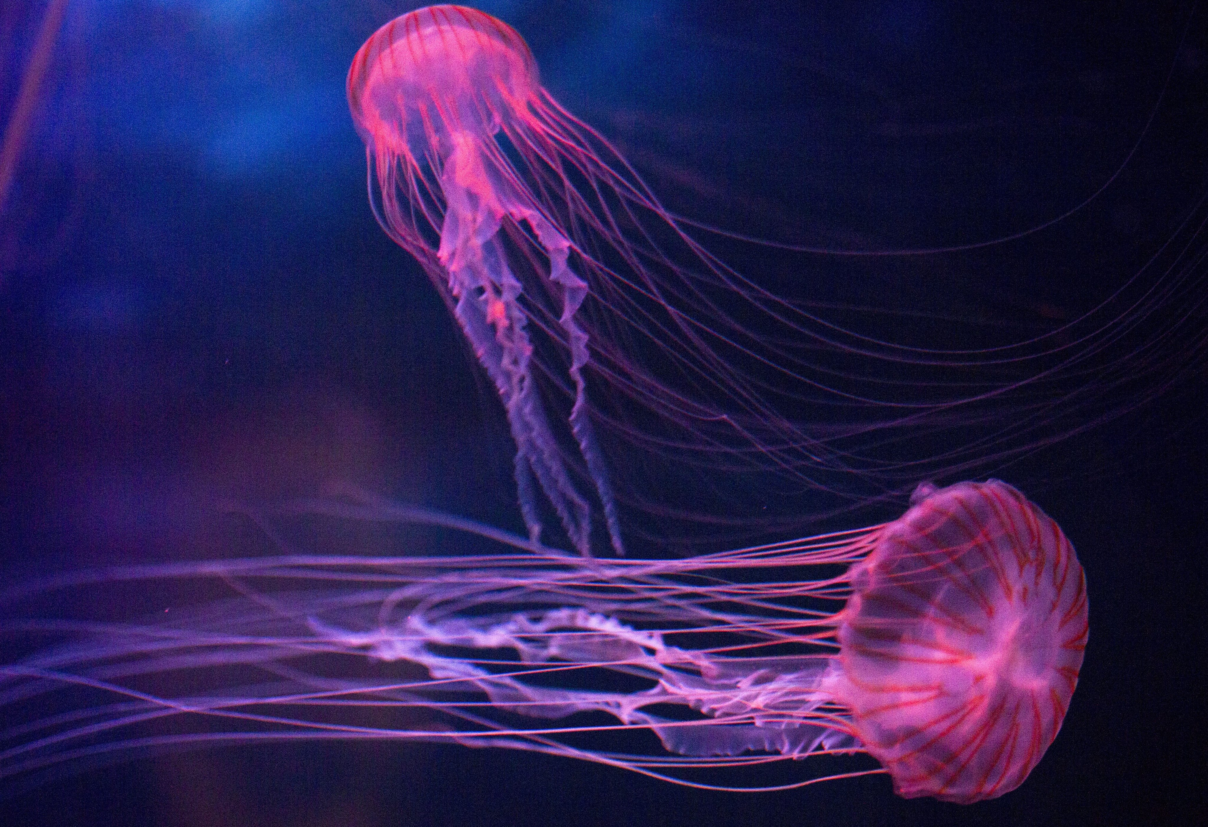 Οι φωτογραφίες της ημέρας (27 Φεβρουαρίου 2013)