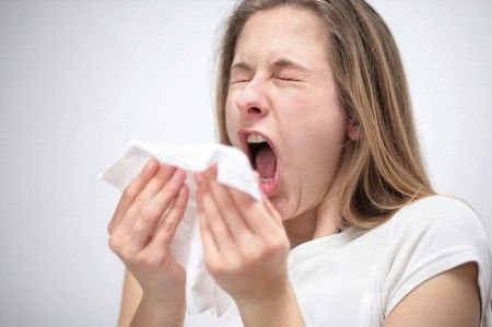 Περιέργως, η υγρή ατμόσφαιρα δείχνει να εμποδίζει τη μετάδοση γρίπης