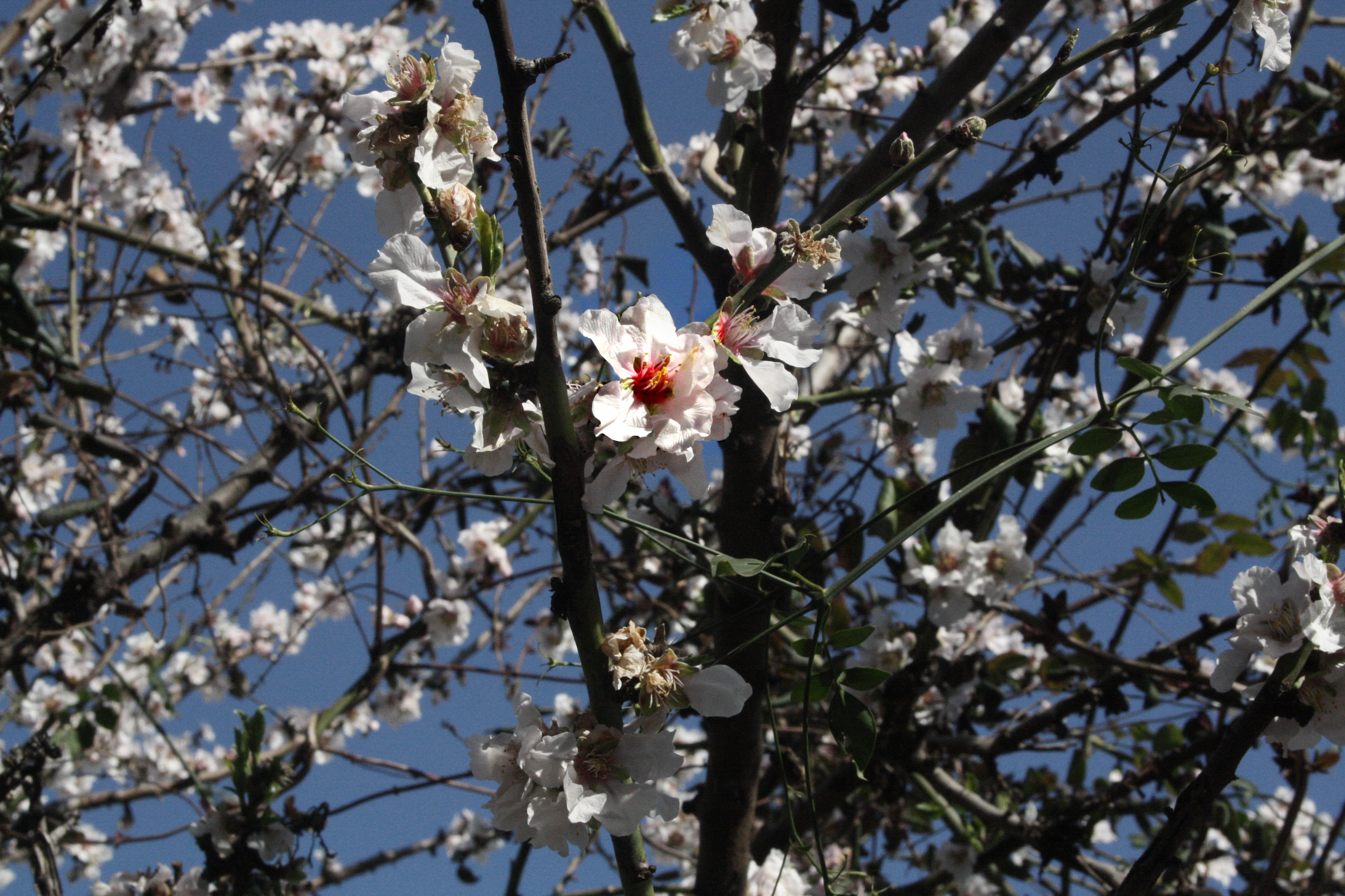 Οι φωτογραφίες της ημέρας (1η Μαρτίου 2013)