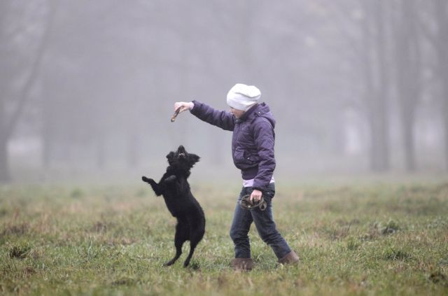 Σκύλος έσωσε τρίχρονη που εξαφανίστηκε από το σπίτι της στην Πολωνία