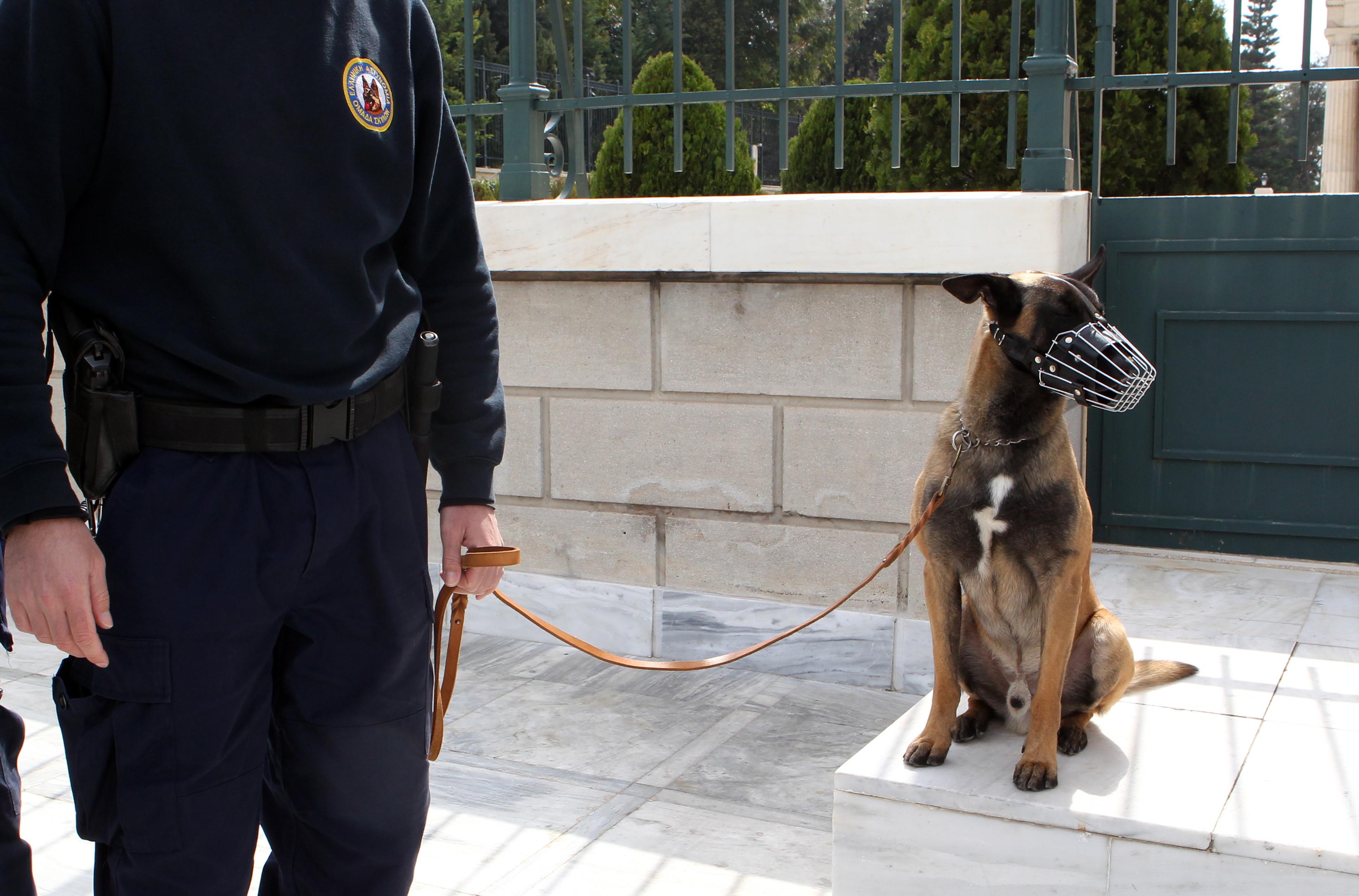 Οι φωτογραφίες της ημέρας (5 Μαρτίου 2013)