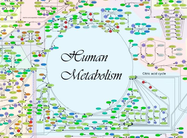 Χάρτης του μεταβολισμού «είναι το Google Earth της ανθρώπινης βιολογίας»