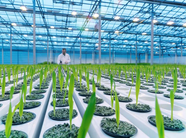 Κτηνοτροφία, ιχθυοκαλλιέργειες και θερμοκήπια οι προτεραιότητες Τσαυτάρη