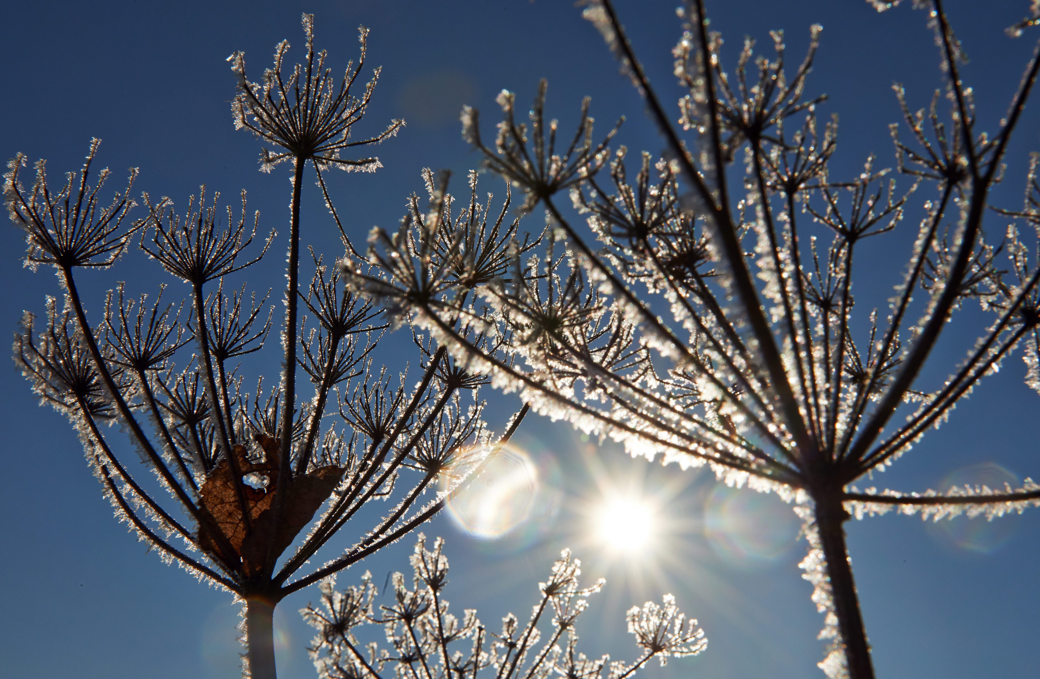 Οι φωτογραφίες της ημέρας (13 Μαρτίου 2013)