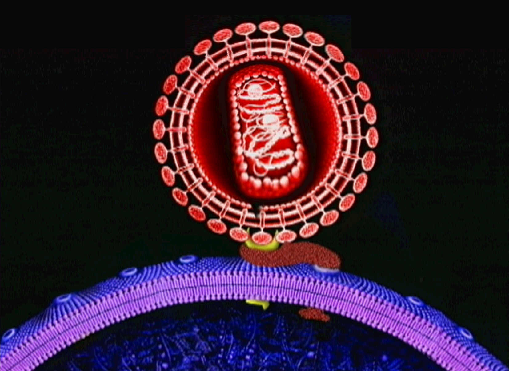 Εφικτή η θεραπεία του AIDS για έναν στους δέκα ασθενείς