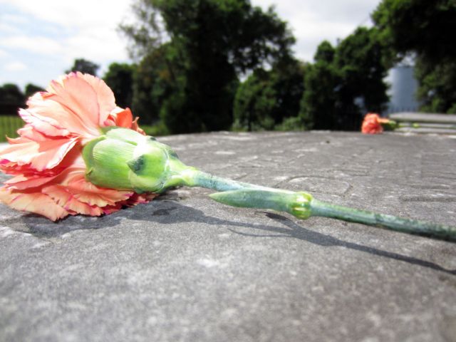 Το ΥΠΕΞ της ΠΓΔΜ καταδικάζει τη βεβήλωση ελληνικού νεκροταφείου