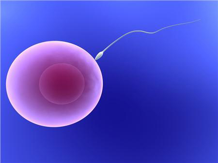 Η υπογεννητικότητα στο κόκκινο