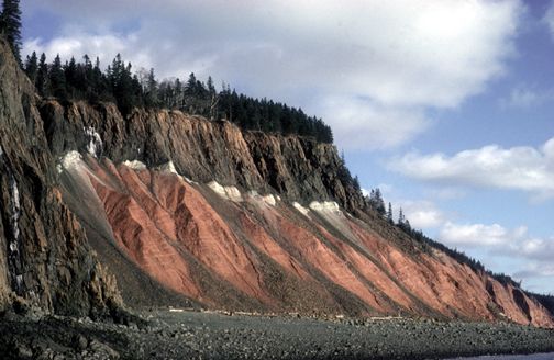 Τι προκάλεσε τη μαζική εξαφάνιση που άνοιξε το δρόμο στους δεινόσαυρους