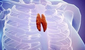 Καλύτερη ποιότητα ζωής με θυμεκτομή για τους ασθενείς με μυασθένεια Gravis