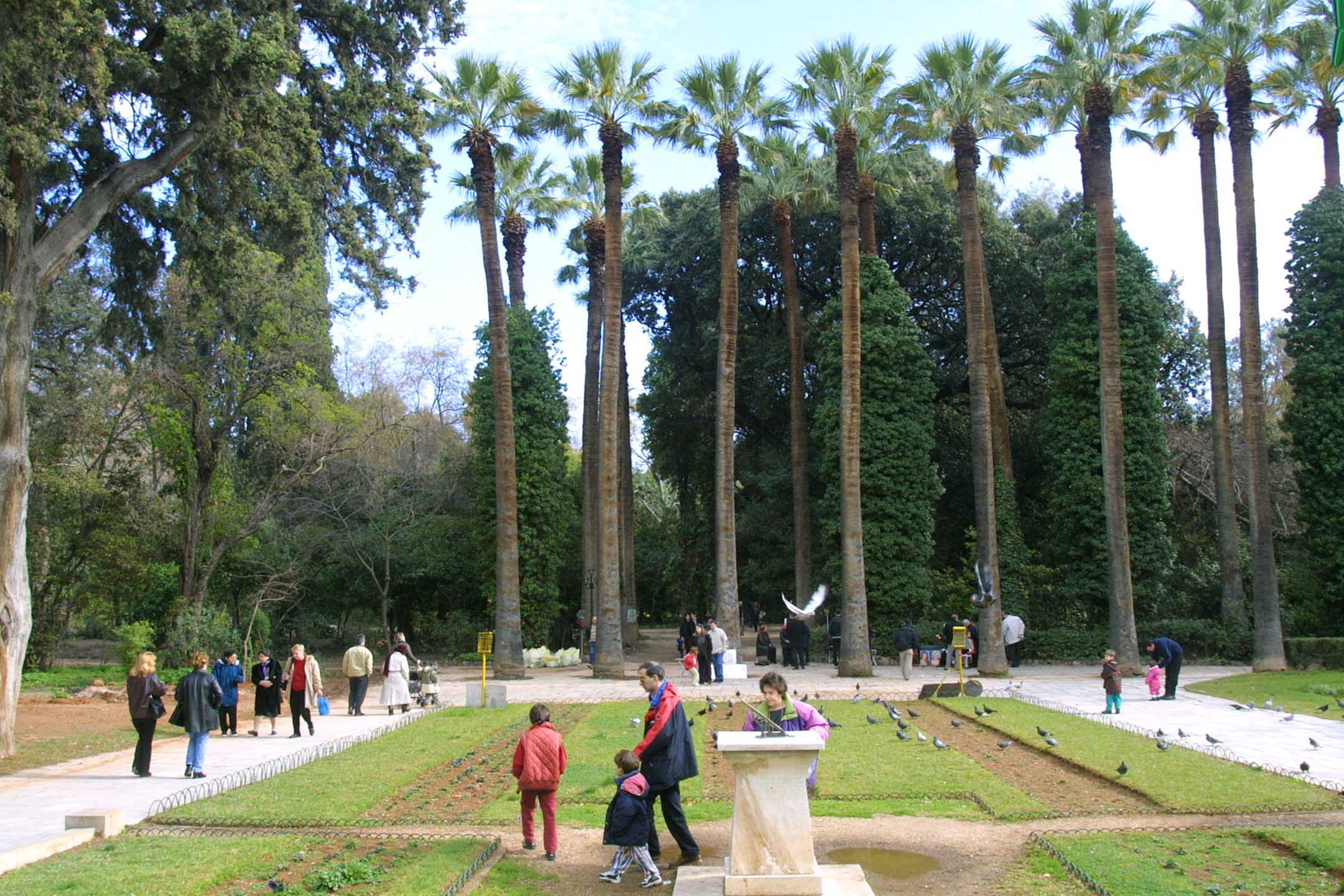 Κυκλοφοριακές ρυθμίσεις στο κέντρο της Αθήνας την Κυριακή