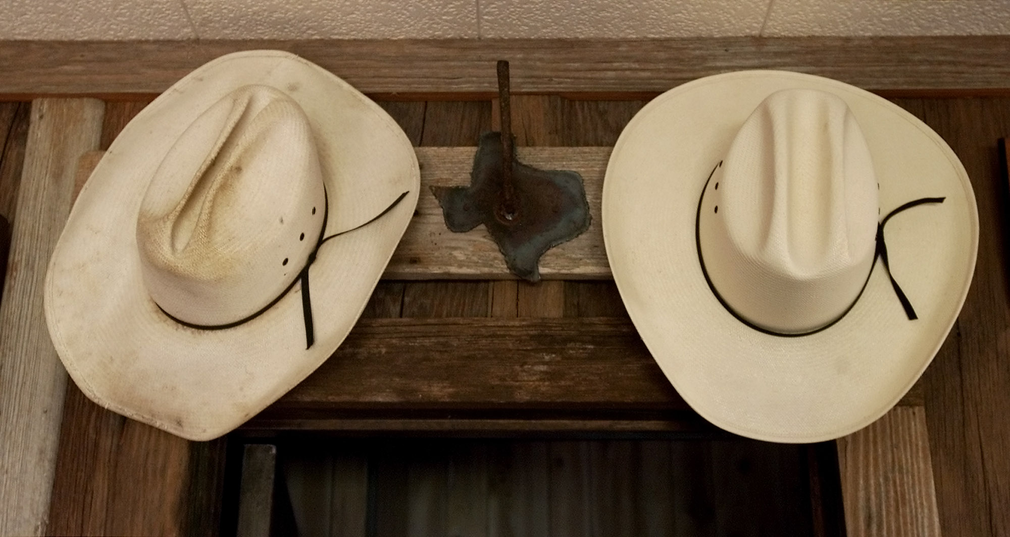 Την Ημέρα του Κάουμποϋ θα γιορτάζει από φέτος και η Αριζόνα