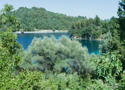 Η Αθηνά Ωνάση πούλησε τον Σκορπιό σε ρώσο μεγιστάνα