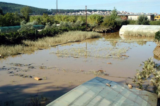 Καταστροφές σε καλλιέργειες στις Σέρρες λόγω της βροχόπτωσης