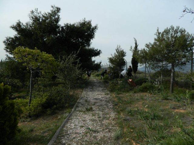 Ο Δήμος Παλλήνης συμμετείχε στη δράση Let’s do it Greece