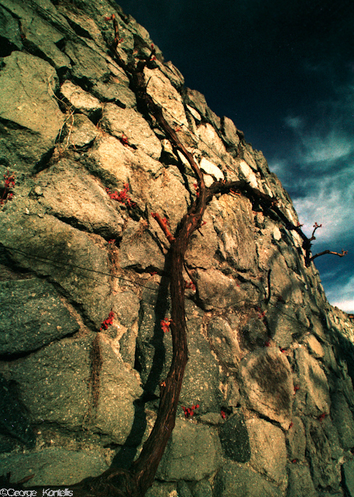 «Ταξίδι» στη Λήμνο μέσα από υπαίθρια έκθεση φωτογραφίας